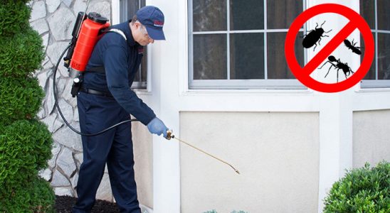 Karayazı Tahtakurusu İlaçlama böcek ilaçlama ve haşere kontrolü — ilaclama-tr.com